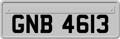GNB4613