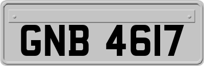 GNB4617
