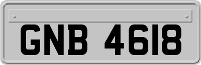 GNB4618