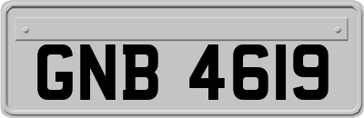 GNB4619