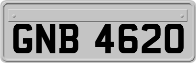 GNB4620