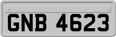 GNB4623