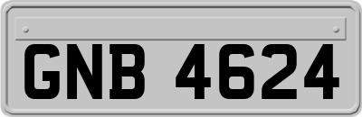 GNB4624