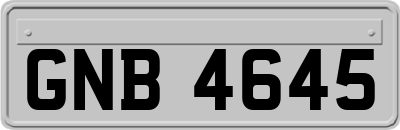 GNB4645