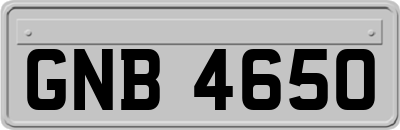 GNB4650