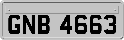 GNB4663