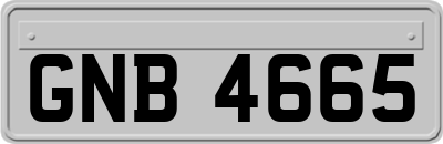 GNB4665