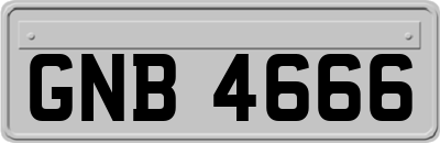 GNB4666