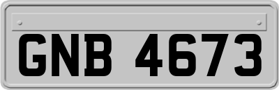 GNB4673