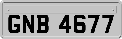 GNB4677