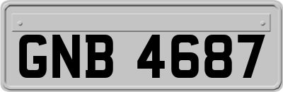 GNB4687