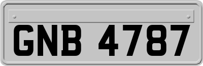 GNB4787