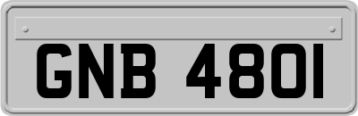 GNB4801