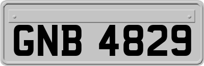 GNB4829