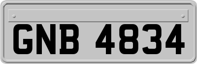 GNB4834