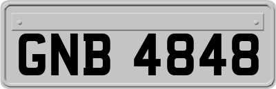 GNB4848