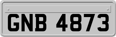 GNB4873