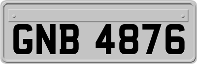 GNB4876