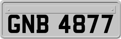 GNB4877