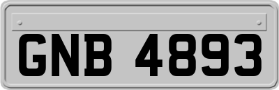 GNB4893