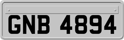 GNB4894