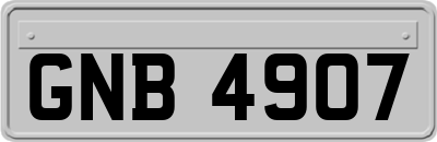 GNB4907