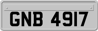 GNB4917
