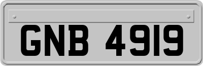 GNB4919