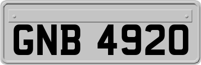 GNB4920