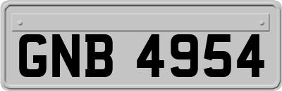 GNB4954
