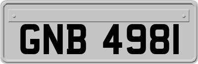 GNB4981