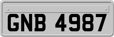 GNB4987