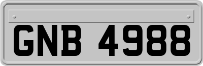 GNB4988