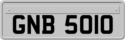 GNB5010