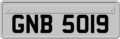 GNB5019
