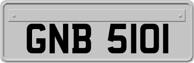 GNB5101