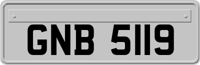 GNB5119