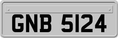 GNB5124