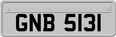 GNB5131