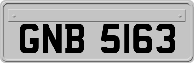 GNB5163