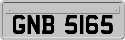 GNB5165