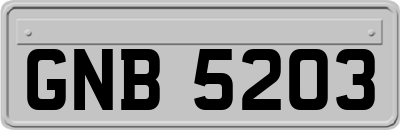 GNB5203