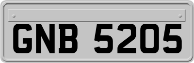GNB5205