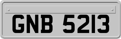 GNB5213