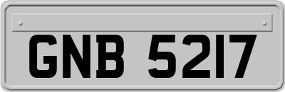 GNB5217