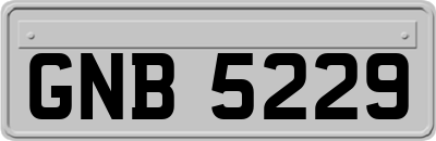 GNB5229