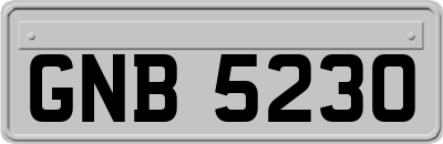 GNB5230