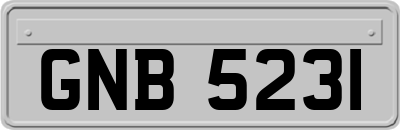 GNB5231