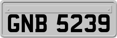 GNB5239