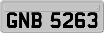 GNB5263